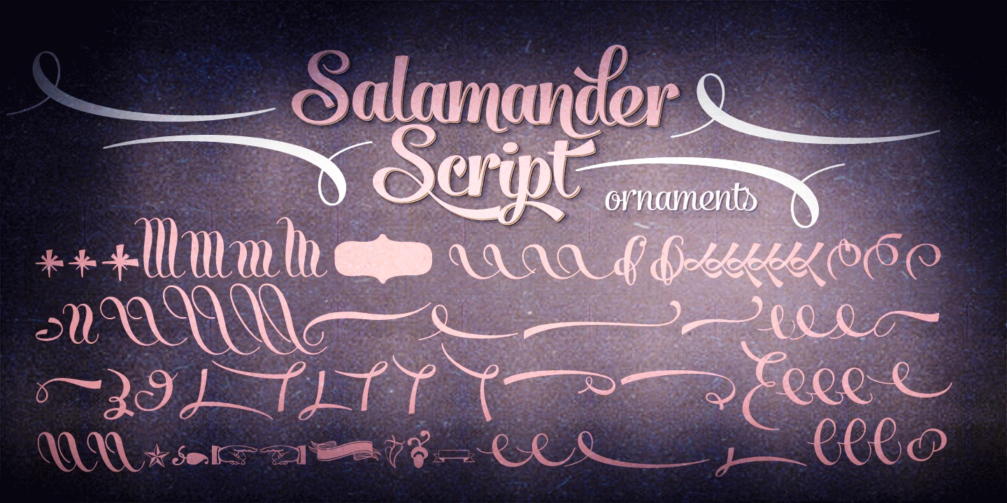 Beispiel einer Salamander Script-Schriftart